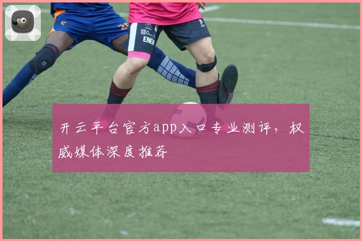 开云平台官方app入口专业测评，权威媒体深度推荐